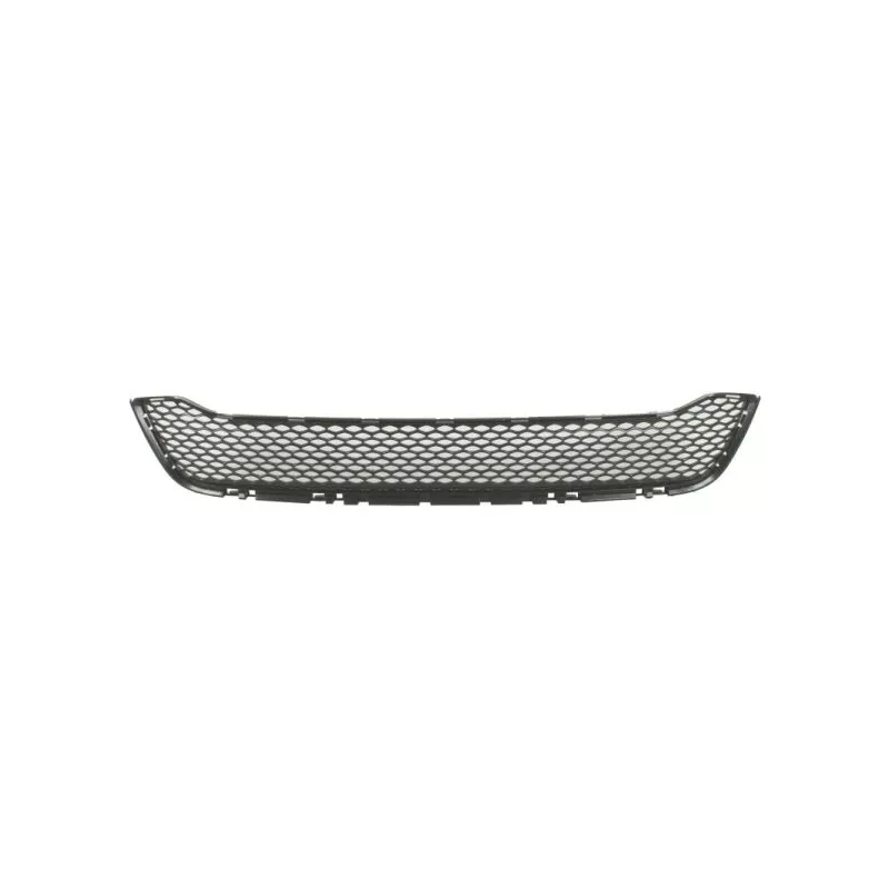Grille de radiateur BLIC 6502-07-0926997P