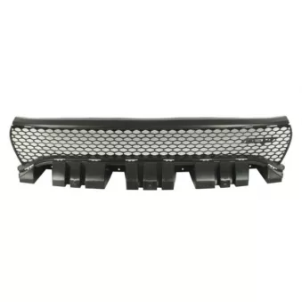 Grille de radiateur BLIC 6502-07-0932997P