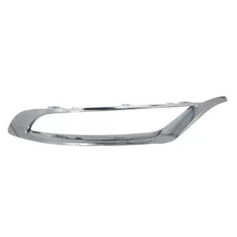 Cadre, projecteur antibrouillard avant BLIC 6502-07-0939924P