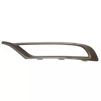Cadre, projecteur antibrouillard avant gauche BLIC 6502-07-0939927P
