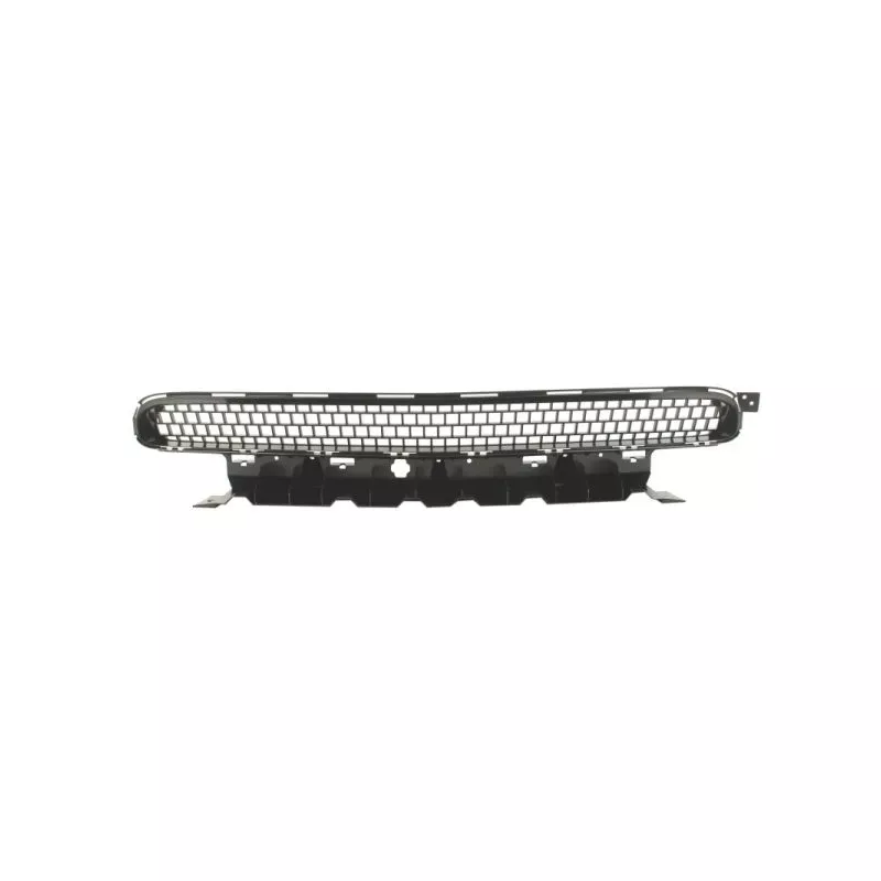 Grille de radiateur BLIC 6502-07-0949990P