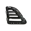 Grille de ventilation, pare-chocs avant gauche BLIC 6502-07-1196913P - Visuel 1
