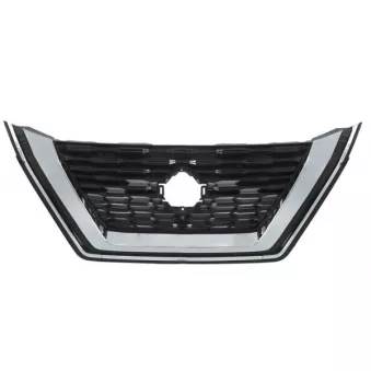 Grille de radiateur BLIC 6502-07-1684900P