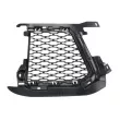 Grille de ventilation, pare-chocs avant gauche BLIC 6502-07-2003993P - Visuel 1