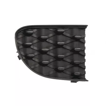 Grille de ventilation, pare-chocs avant BLIC 6502-07-2013922P