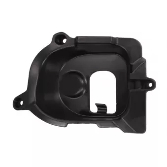 Cadre, projecteur antibrouillard avant gauche BLIC 6502-07-2579915P