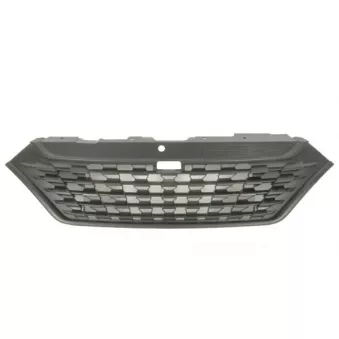 Grille de radiateur BLIC 6502-07-3084992P