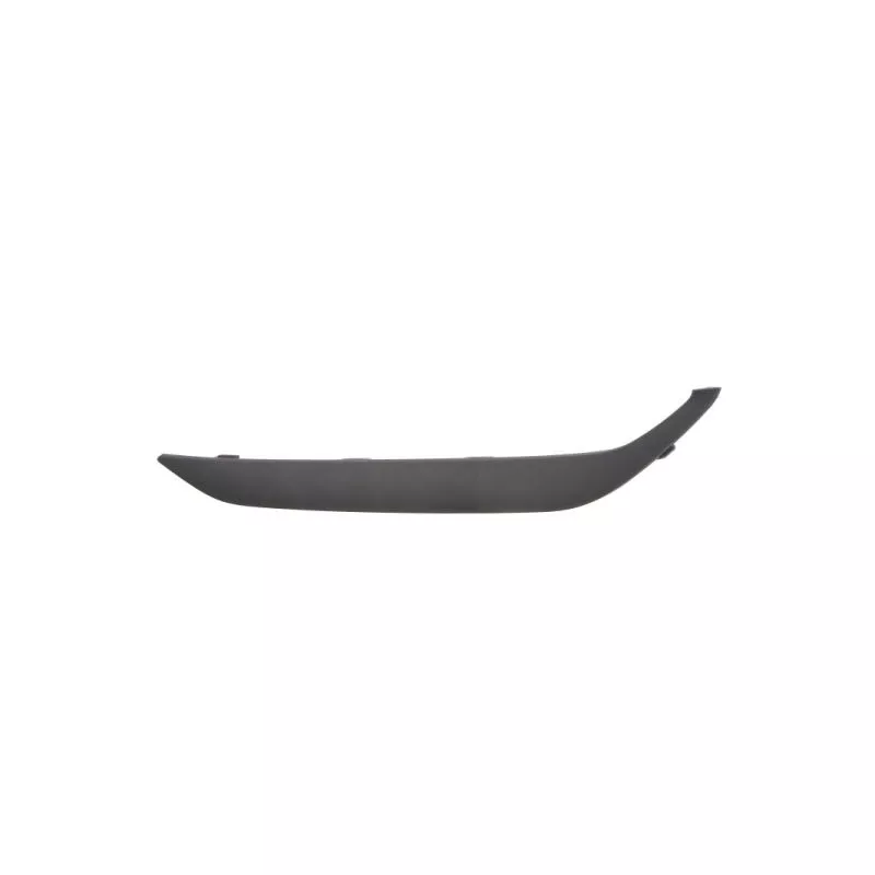 Baguette et bande protectrice, pare-chocs avant gauche BLIC 6502-07-3177991P