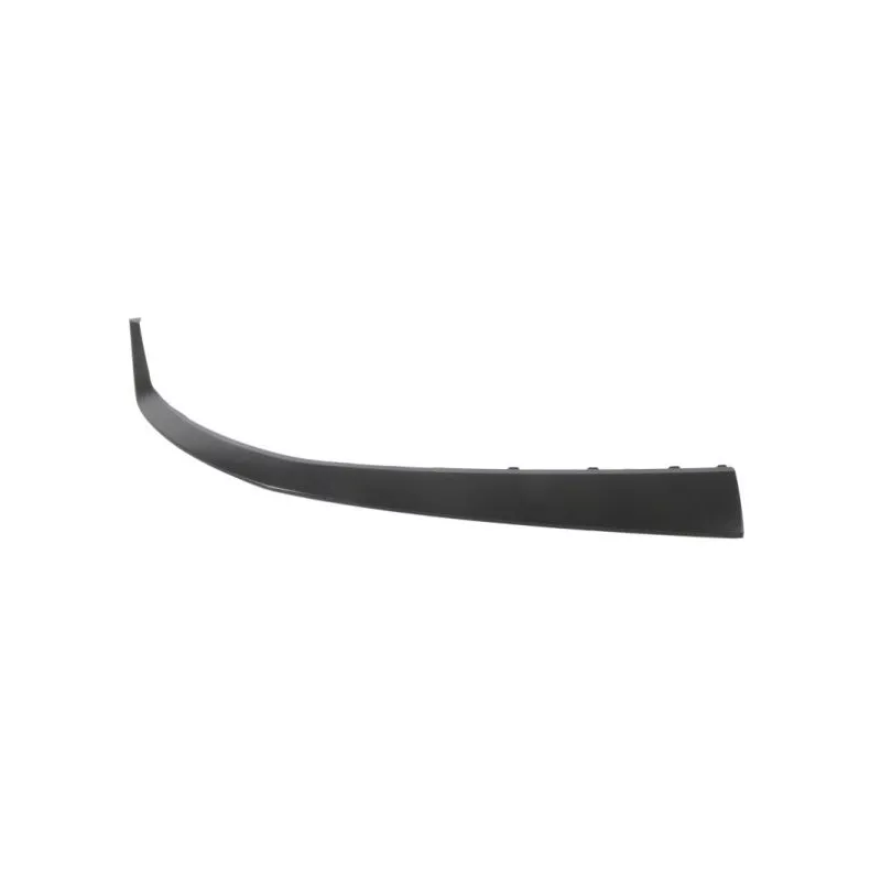 Baguette et bande protectrice, grille de radiateur BLIC 6502-07-3179991P