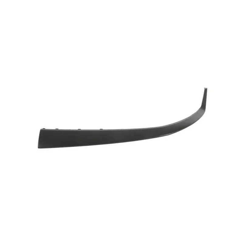 Baguette et bande protectrice, grille de radiateur BLIC 6502-07-3179992P