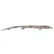 Baguette et bande protectrice, pare-chocs avant gauche BLIC 6502-07-3183921P - Visuel 2