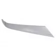 Baguette et bande protectrice, pare-chocs avant BLIC 6502-07-3183922P - Visuel 1