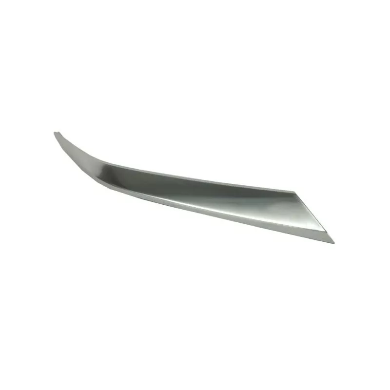 Baguette et bande protectrice, grille de radiateur BLIC 6502-07-3184212PP