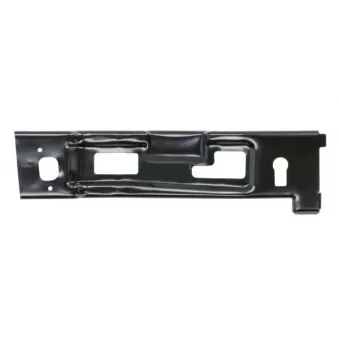 Support, grille de radiateur BLIC 6502-07-3184991P