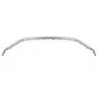 Baguette et bande protectrice, pare-chocs avant gauche BLIC 6502-07-3187922P - Visuel 1