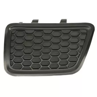 Grille de ventilation, pare-chocs avant BLIC 6502-07-3206916PP