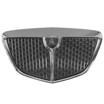Grille de radiateur BLIC 6502-07-3331990P