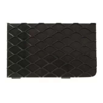 Grille de ventilation, pare-chocs BLIC 6502-07-3501916PP