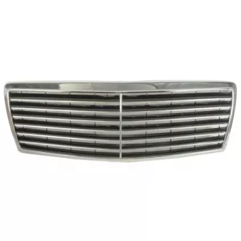 Grille de radiateur BLIC 6502-07-3516990P
