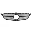 Grille de radiateur BLIC 6502-07-3521996CP - Visuel 1