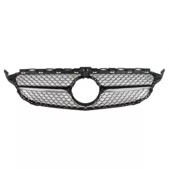 Grille de radiateur BLIC 6502-07-3521996CP
