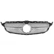 Grille de radiateur BLIC 6502-07-3521996CP - Visuel 2