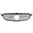 Grille de radiateur BLIC 6502-07-3521998CP - Visuel 1