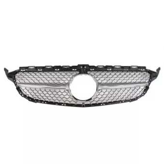 Grille de radiateur BLIC 6502-07-3521998CP