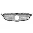 Grille de radiateur BLIC 6502-07-3521998CP - Visuel 2