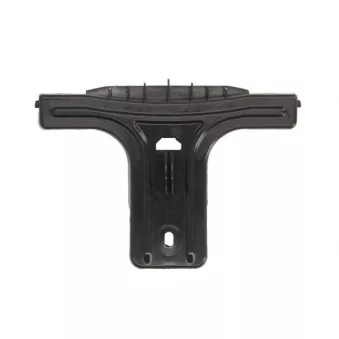 Support, grille de radiateur BLIC 6502-07-3529999P