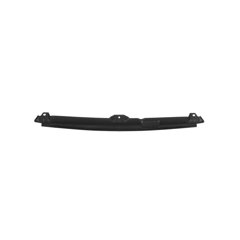 Baguette et bande protectrice, grille de radiateur BLIC 6502-07-3533995P