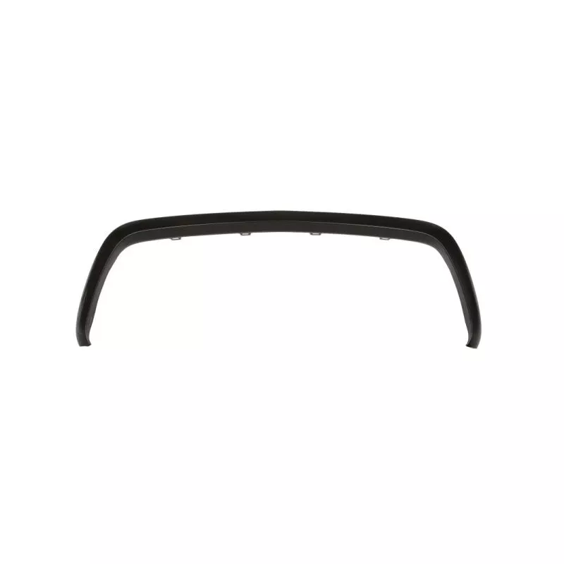 Baguette et bande protectrice, grille de radiateur BLIC 6502-07-3549991P