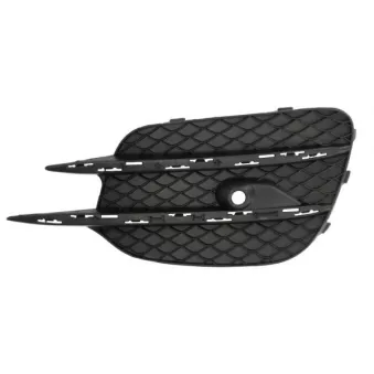 Grille de ventilation, pare-chocs avant BLIC 6502-07-3552912PP