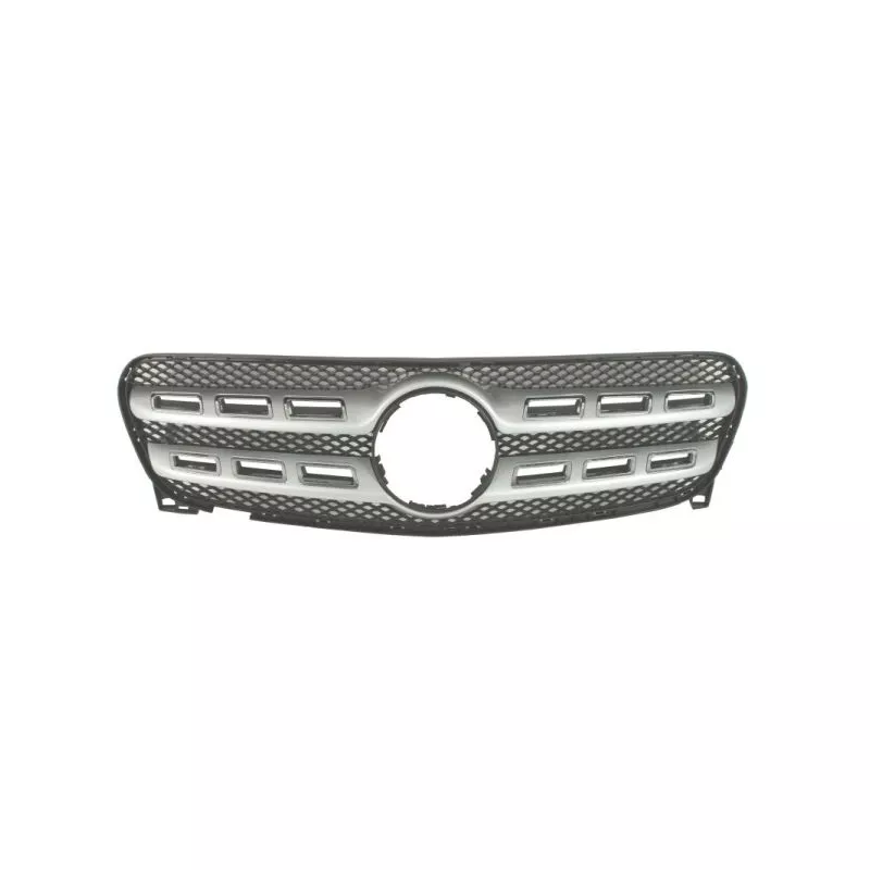 Grille de radiateur BLIC 6502-07-3583916P