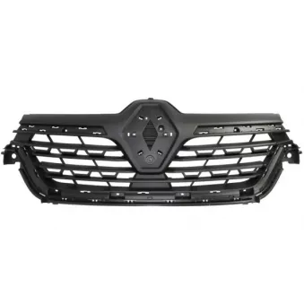 Grille de radiateur BLIC 6502-07-6015991P