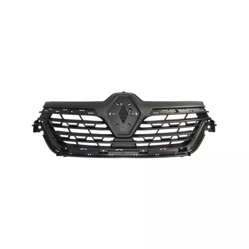 Grille de radiateur BLIC 6502-07-6015991P