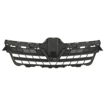 Grille de radiateur BLIC 6502-07-6057990P