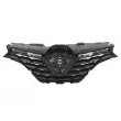 Grille de radiateur BLIC 6502-07-6090994P - Visuel 2