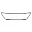Baguette et bande protectrice, grille de radiateur BLIC 6502-07-6619990P - Visuel 1