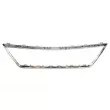 Baguette et bande protectrice, grille de radiateur BLIC 6502-07-6619990P - Visuel 2