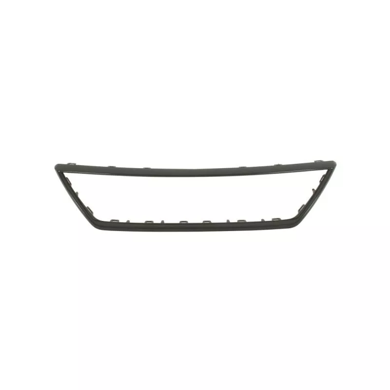 Baguette et bande protectrice, grille de radiateur BLIC 6502-07-6619992Q