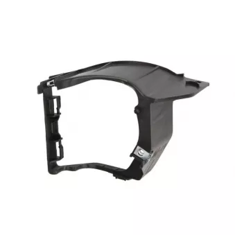 Cadre, projecteur antibrouillard avant gauche BLIC 6502-07-6735911P