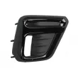 Grille de ventilation, pare-chocs avant BLIC 6502-07-6741994P - Visuel 1