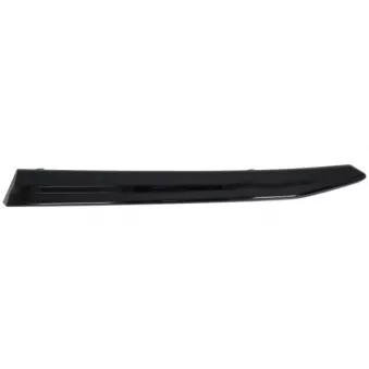 Baguette et bande protectrice, grille de radiateur BLIC 6502-07-6747993P