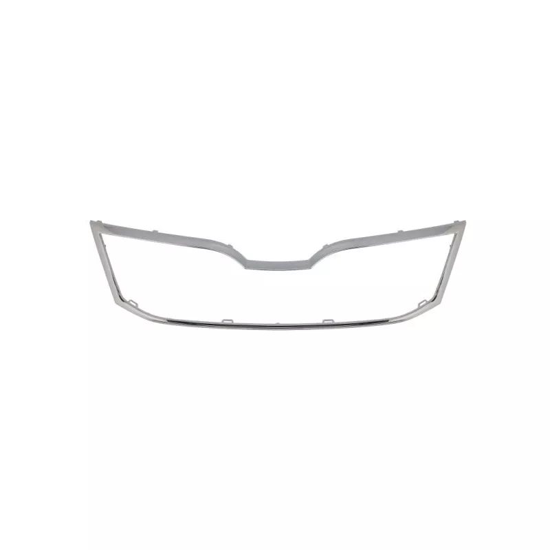 Baguette et bande protectrice, grille de radiateur BLIC 6502-07-7522994P