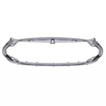 Baguette et bande protectrice, grille de radiateur BLIC 6502-07-7707991P