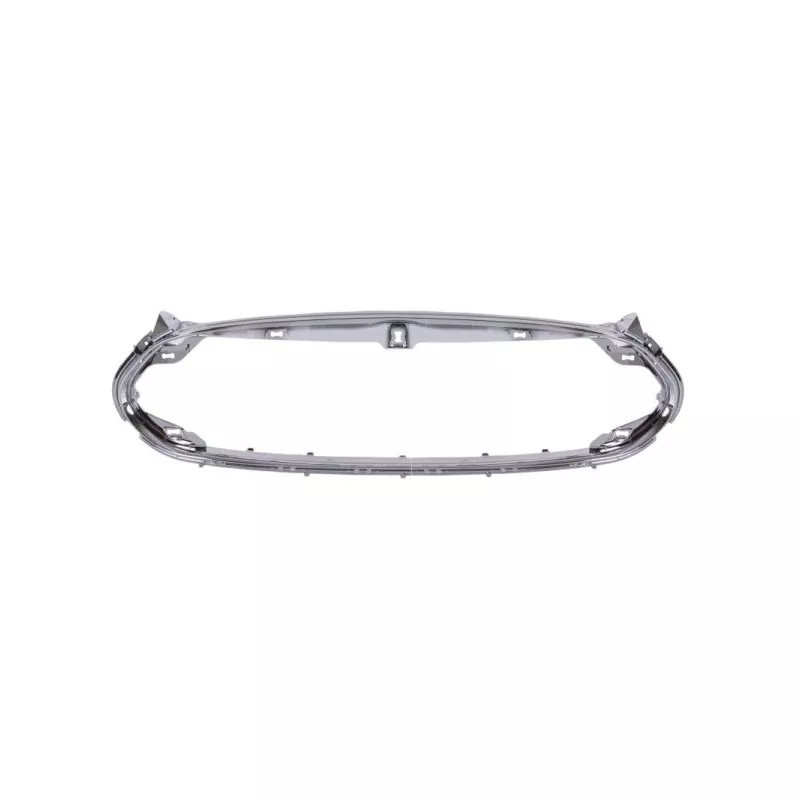 Baguette et bande protectrice, grille de radiateur BLIC 6502-07-7707991P