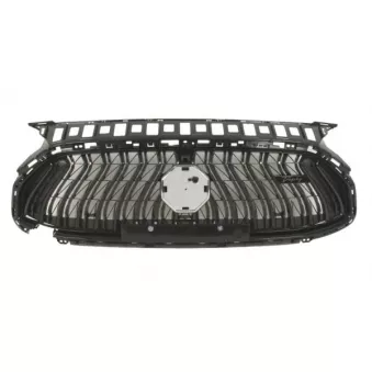 Grille de radiateur BLIC