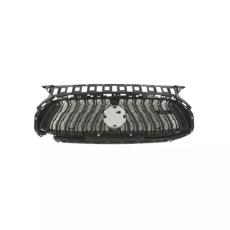 Grille de radiateur BLIC 6502-07-7802991P