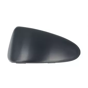 Baguette et bande protectrice, pare-chocs avant droit BLIC 6502-07-8101972Q